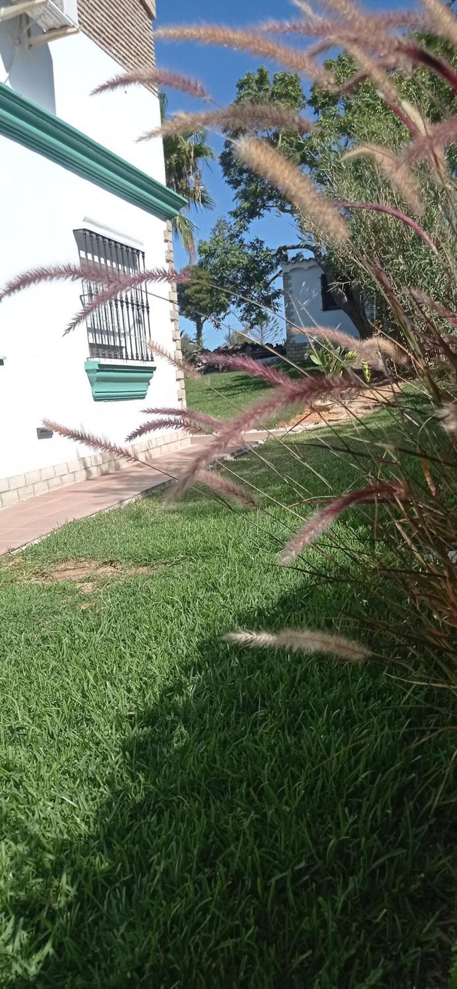 Pensjonat La Luciernaga Chiclana de la Frontera Zewnętrze zdjęcie
