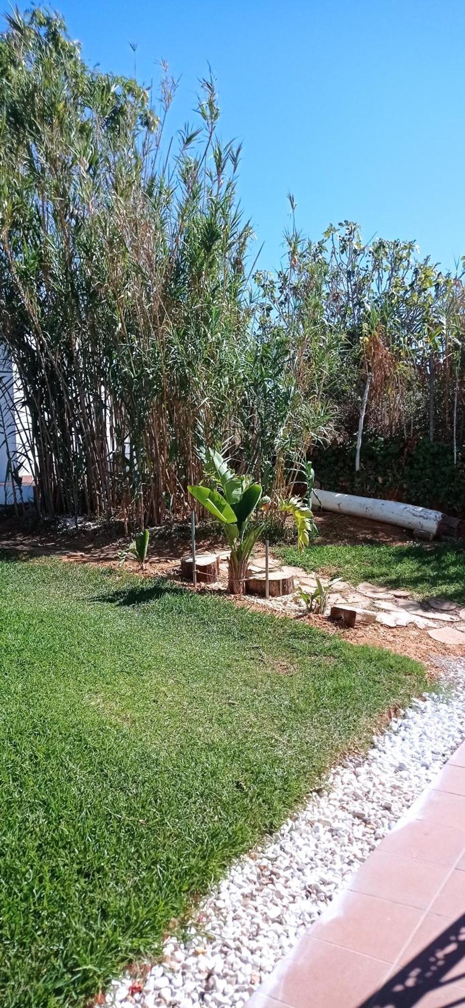 Pensjonat La Luciernaga Chiclana de la Frontera Zewnętrze zdjęcie